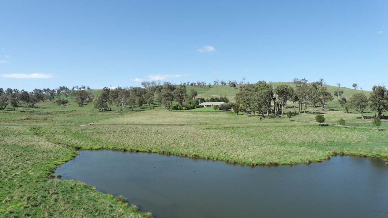 Walcha Sold by Farmbuy.com - image 7