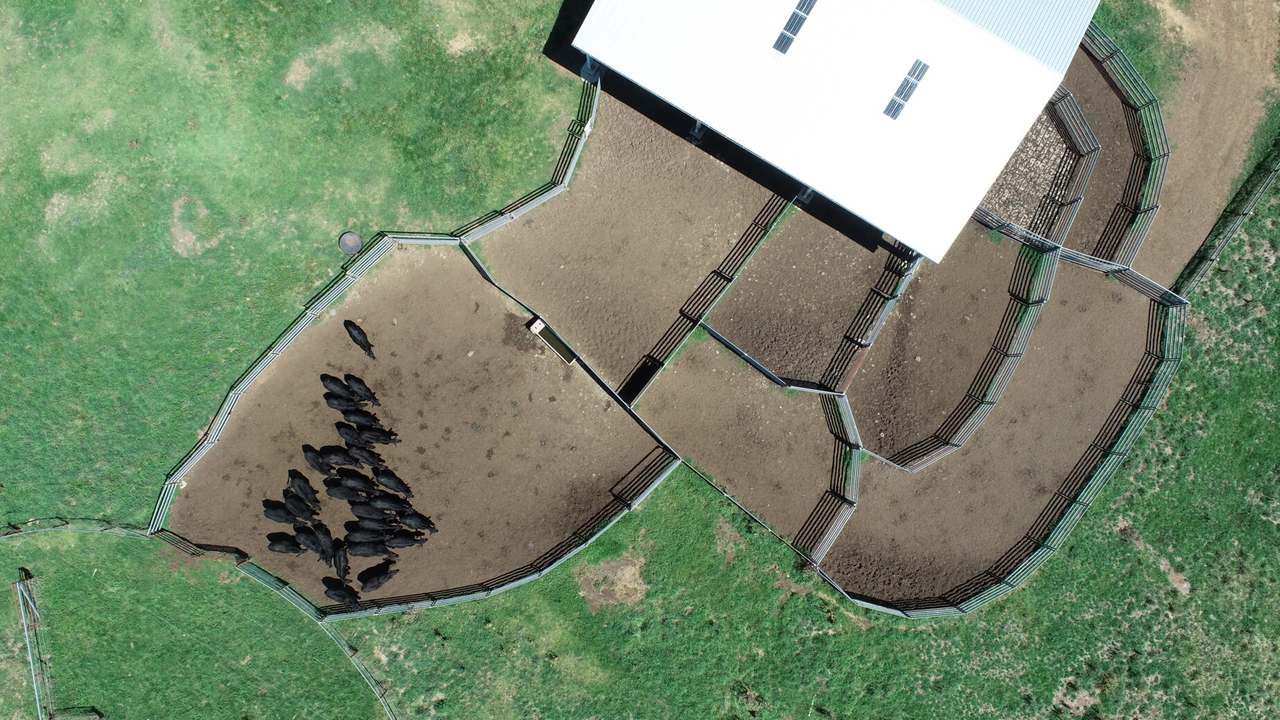 Walcha Sold by Farmbuy.com - image 15