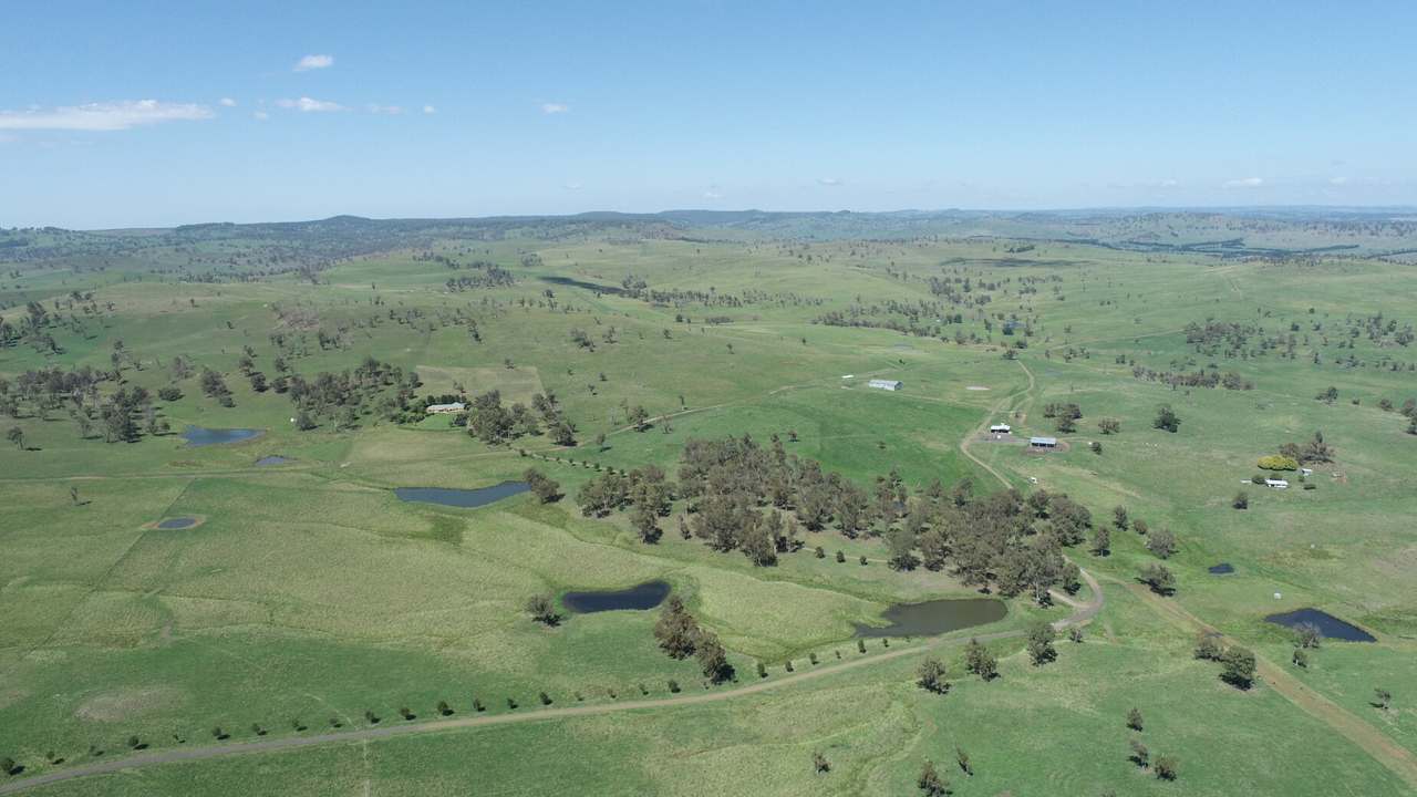 Walcha Sold by Farmbuy.com - image 4