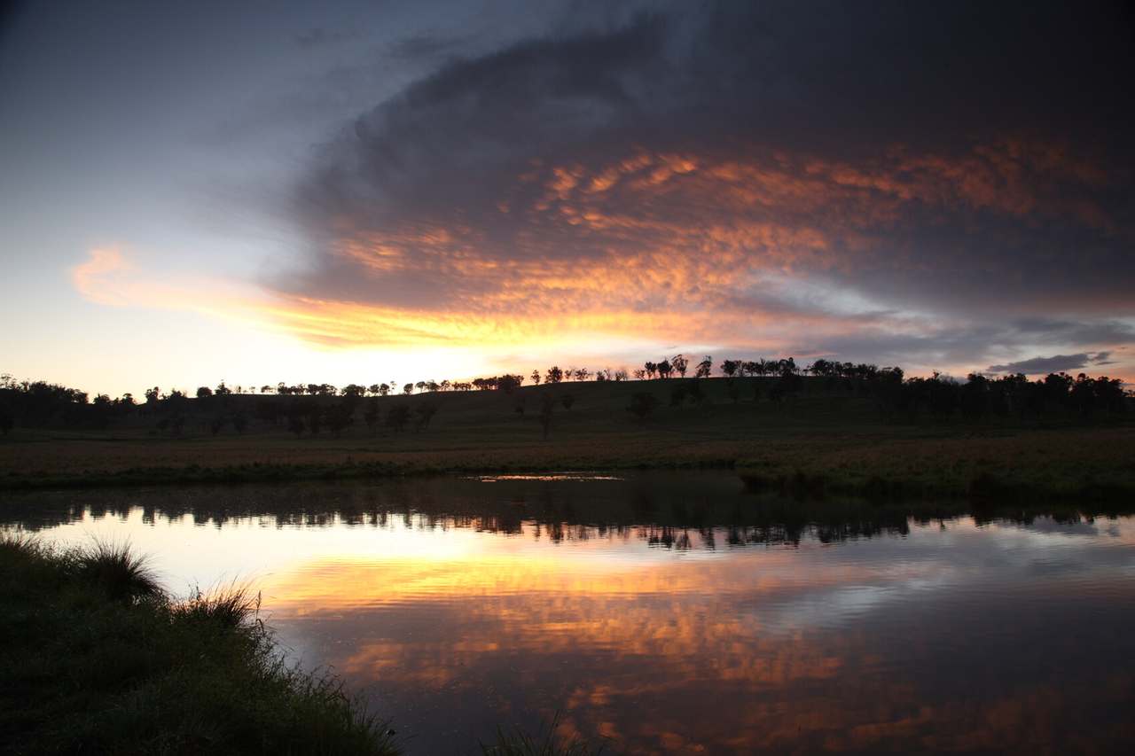 Walcha Sold by Farmbuy.com - image 20