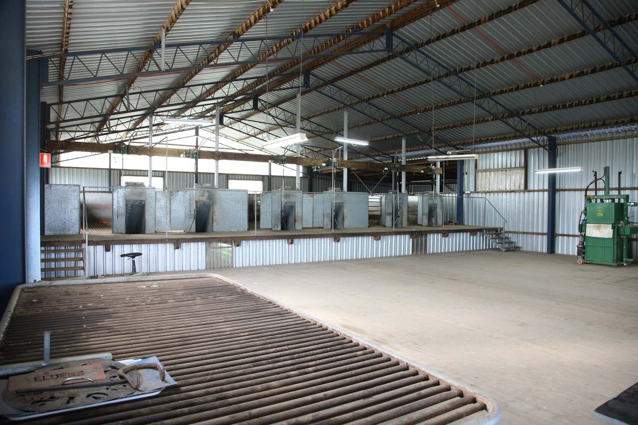 Walcha Sold by Farmbuy.com - image 18