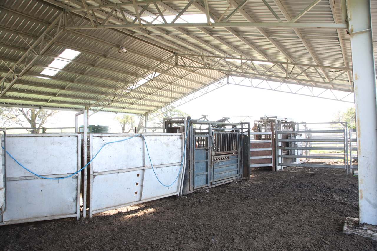 Walcha Sold by Farmbuy.com - image 16