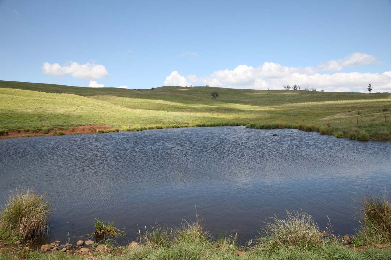 Walcha Sold by Farmbuy.com - image 6