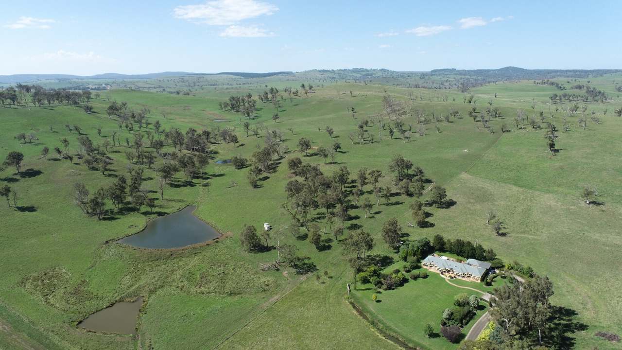 Walcha Sold by Farmbuy.com - image 5