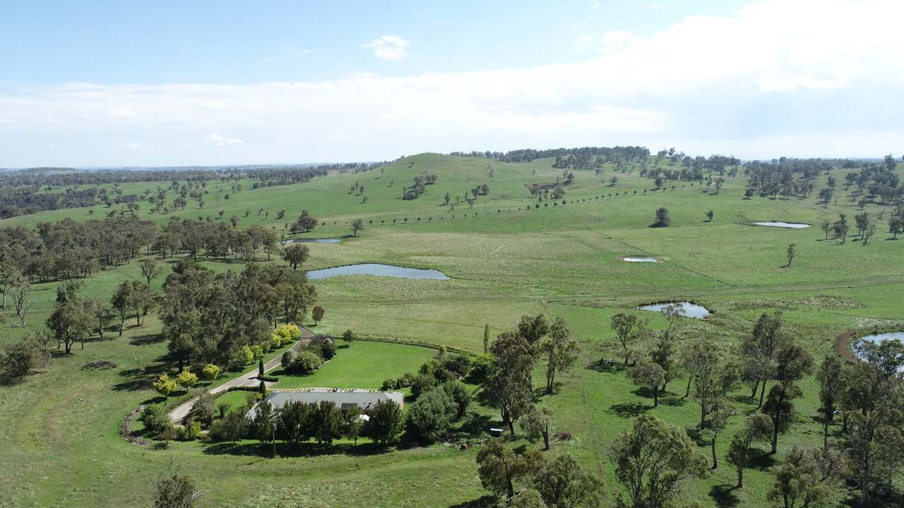 Walcha Sold by Farmbuy.com - image 8