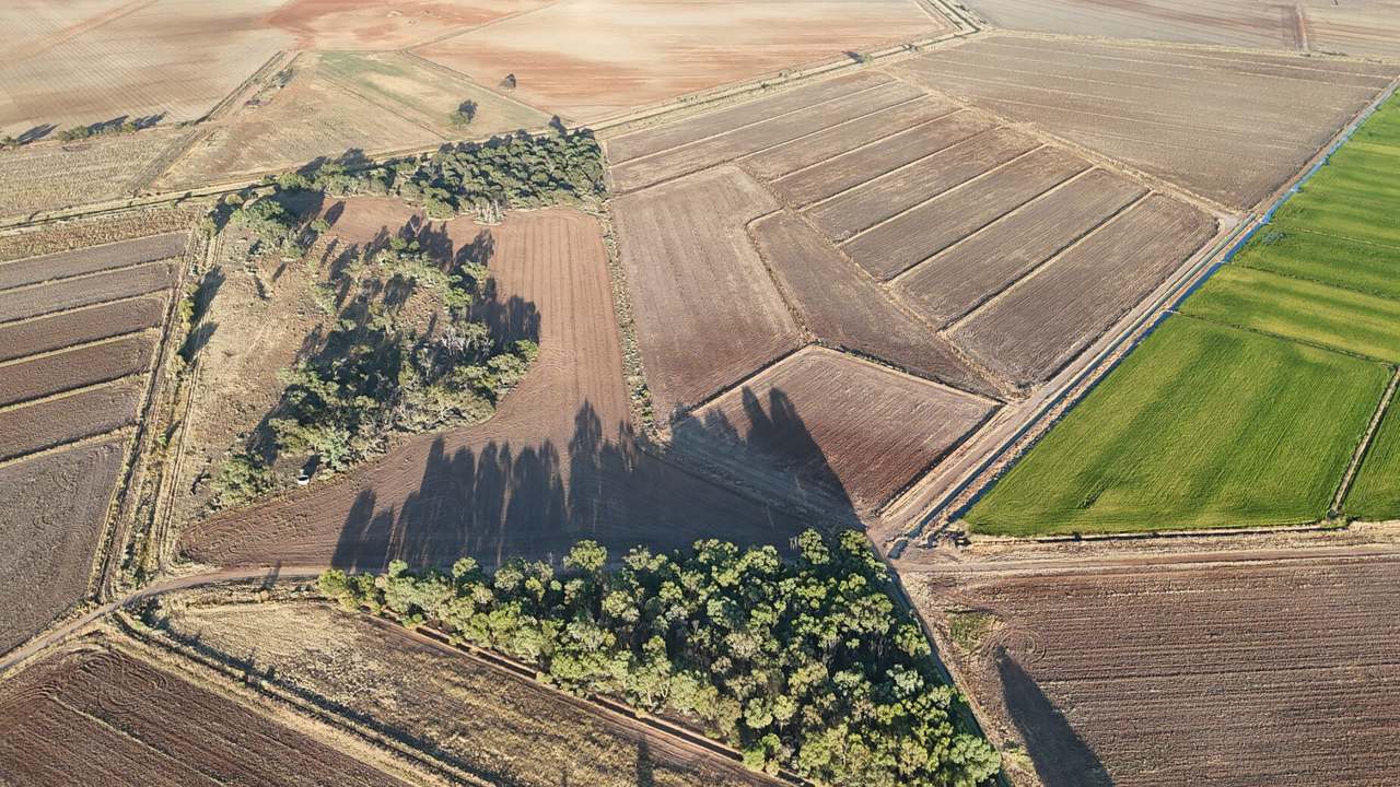 1447 Graham Road, Coleambally Sold by Farmbuy.com - image 8