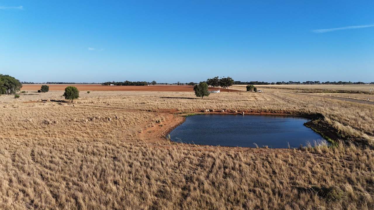 1447 Graham Road, Coleambally Sold by Farmbuy.com - image 13