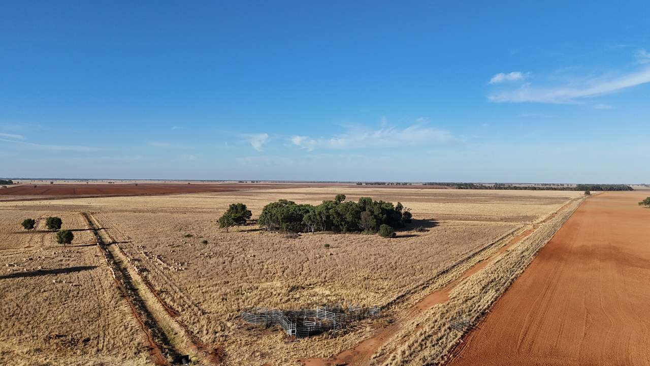 1447 Graham Road, Coleambally Sold by Farmbuy.com - image 11