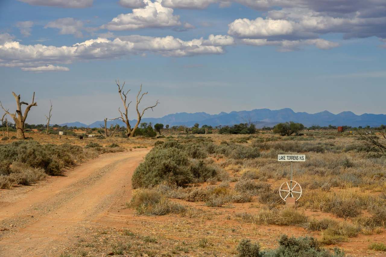 Lake Torrens Station, Hawker Auction by Farmbuy.com - image 4