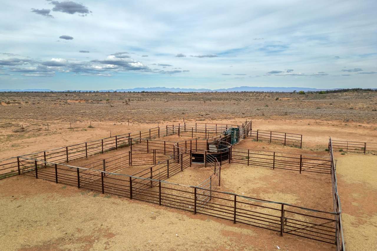 Lake Torrens Station, Hawker Auction by Farmbuy.com - image 19