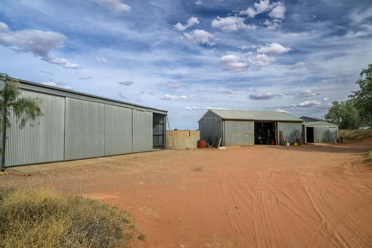 Lake Torrens Station, Hawker Auction by Farmbuy.com - image 7