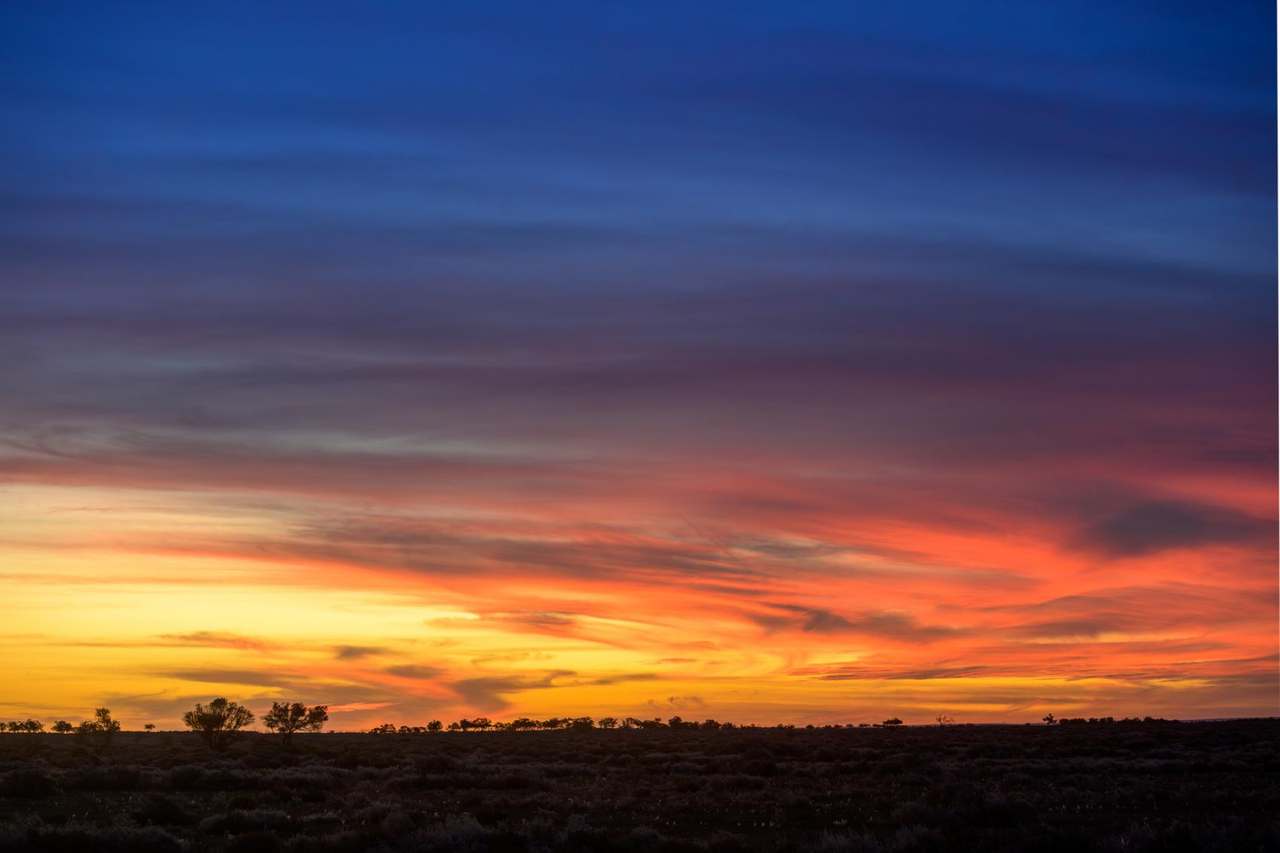 Lake Torrens Station, Hawker Auction by Farmbuy.com - image 17