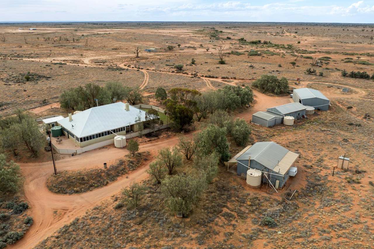 Lake Torrens Station, Hawker Auction by Farmbuy.com - image 15