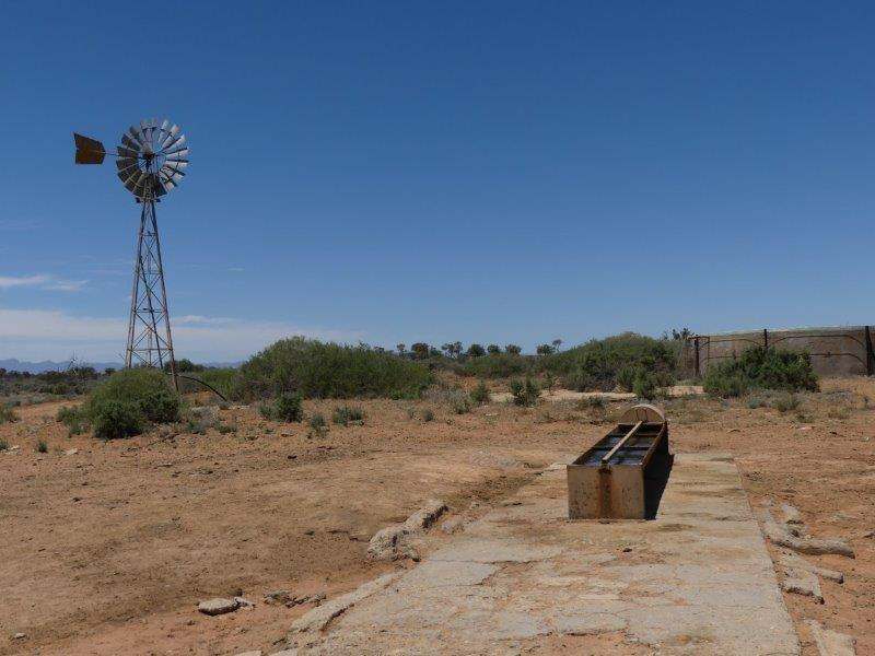 Lake Torrens Station, Hawker Auction by Farmbuy.com - image 21