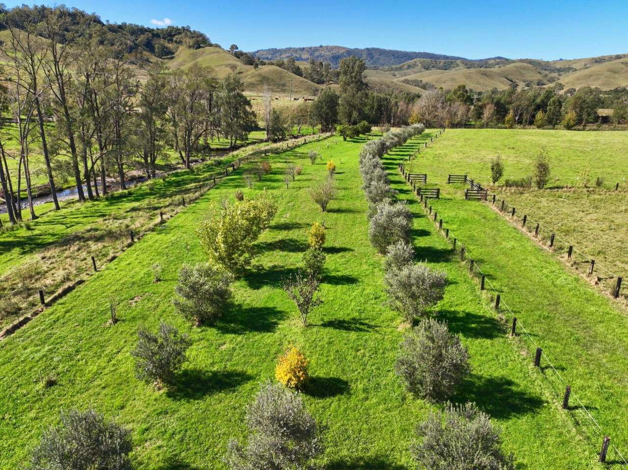 1061 Goorangoola Road, Greenlands Auction by Farmbuy.com - image 19