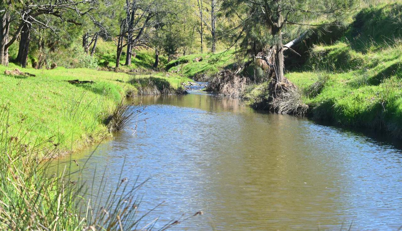 1061 Goorangoola Road, Greenlands Auction by Farmbuy.com - image 7