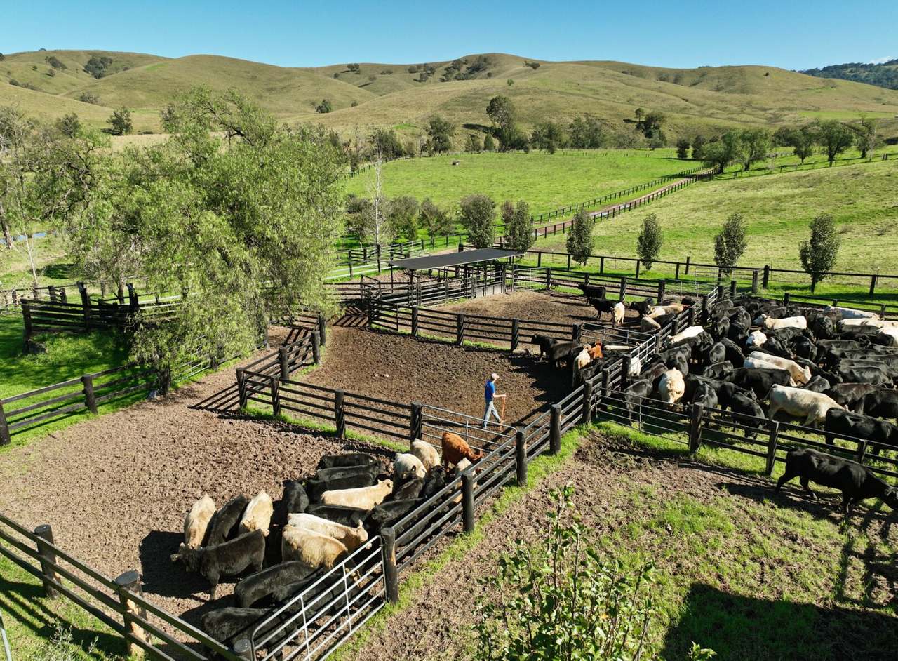 1061 Goorangoola Road, Greenlands Auction by Farmbuy.com - image 4