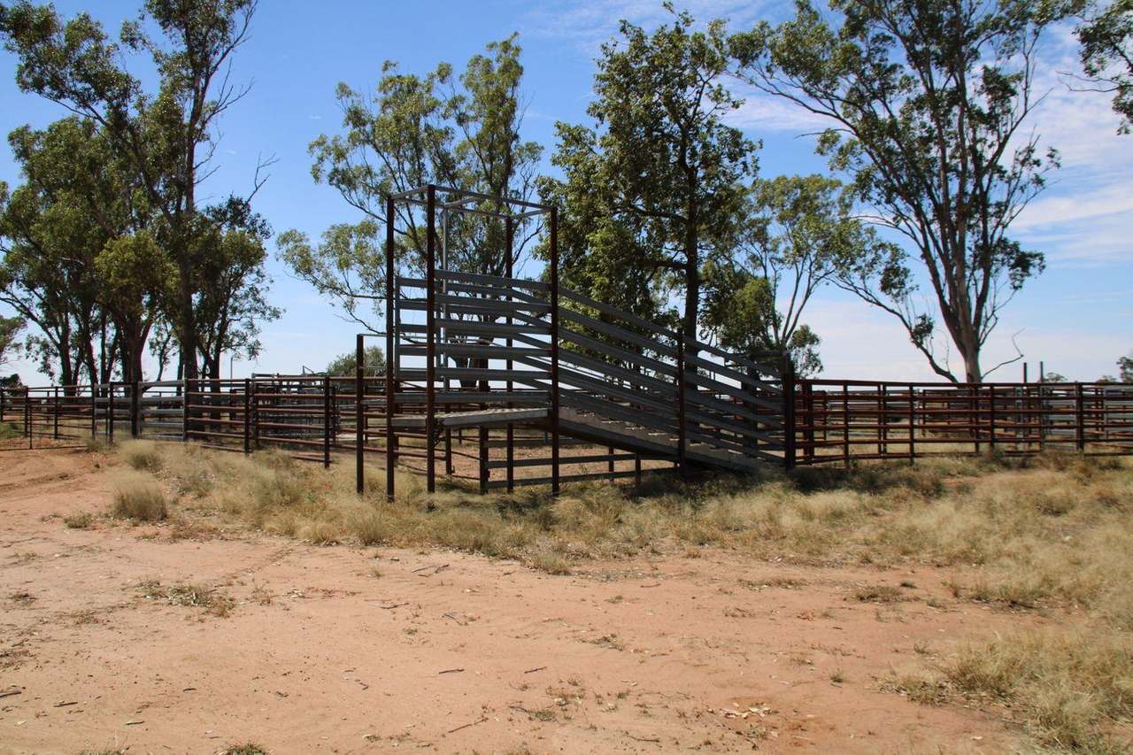295 Hd Creek Road, Wee Waa For Sale by Farmbuy.com - image 27