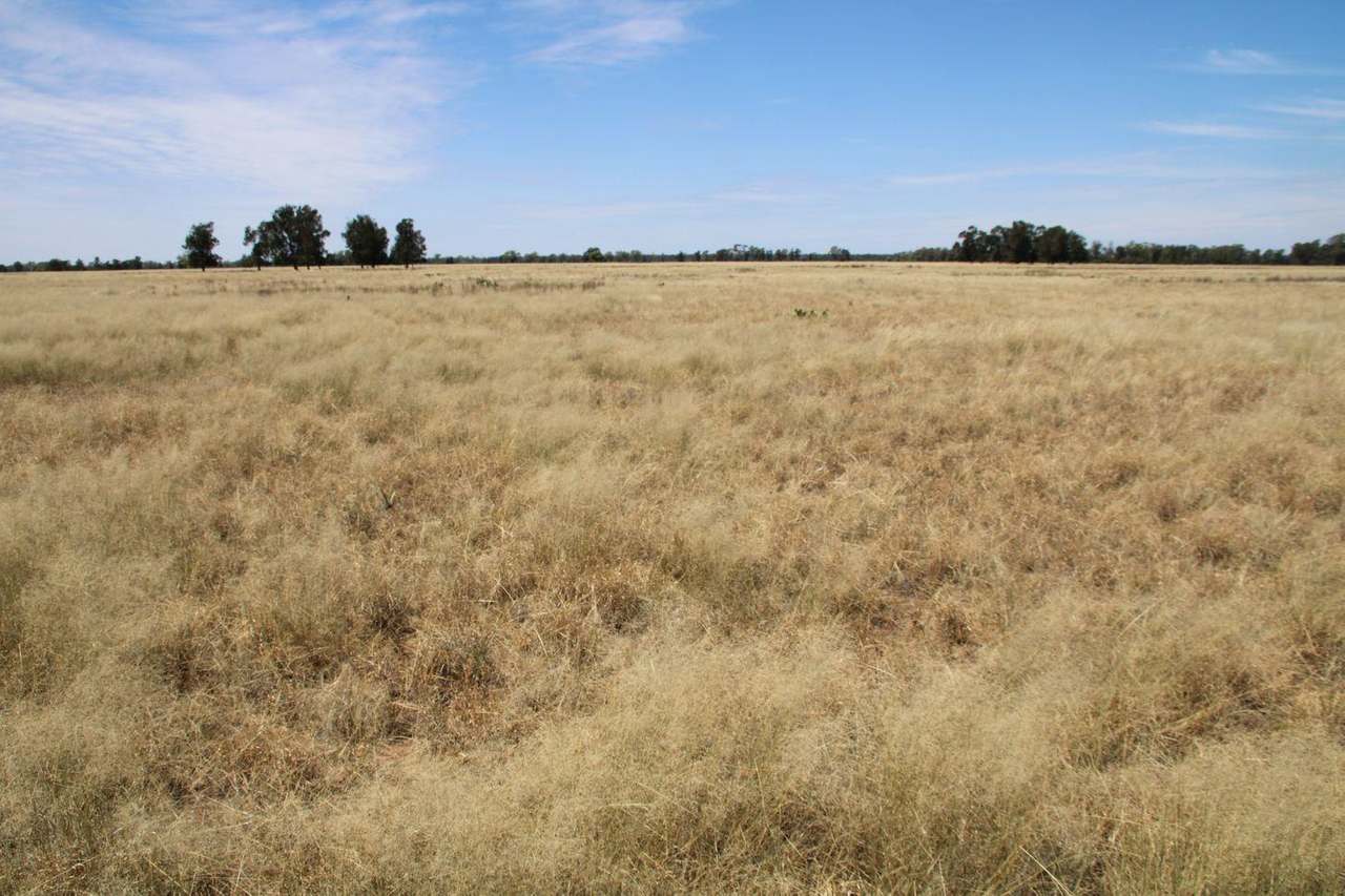 295 Hd Creek Road, Wee Waa For Sale by Farmbuy.com - image 11