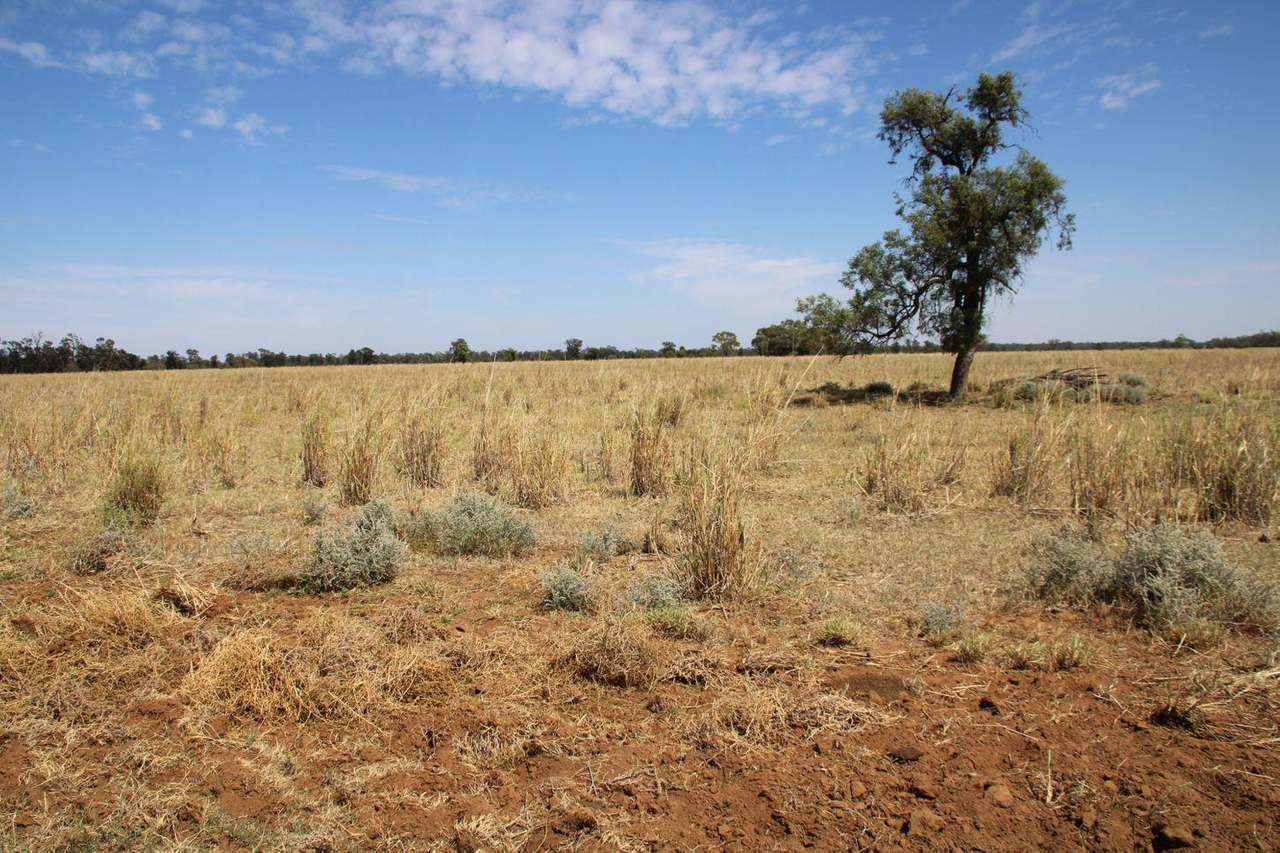 295 Hd Creek Road, Wee Waa For Sale by Farmbuy.com - image 15