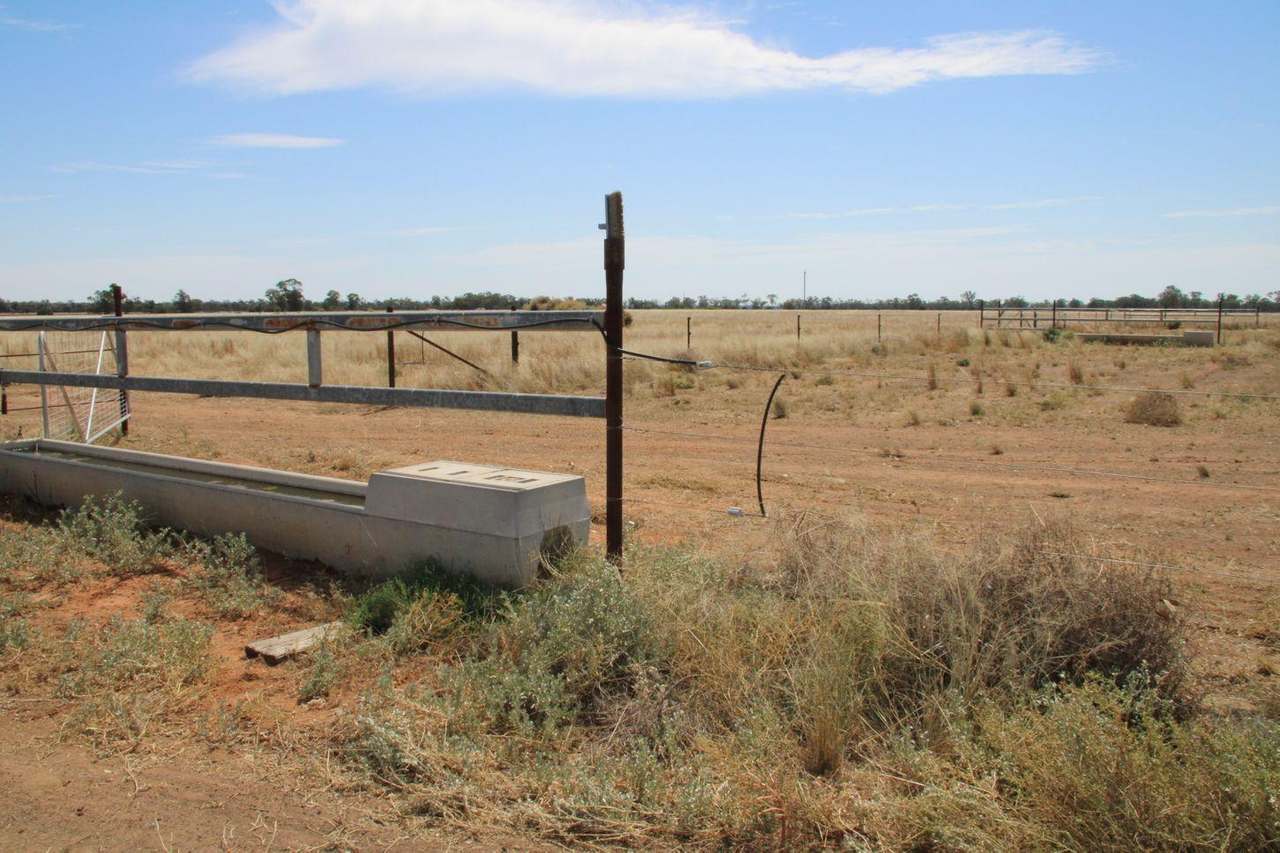 295 Hd Creek Road, Wee Waa For Sale by Farmbuy.com - image 33