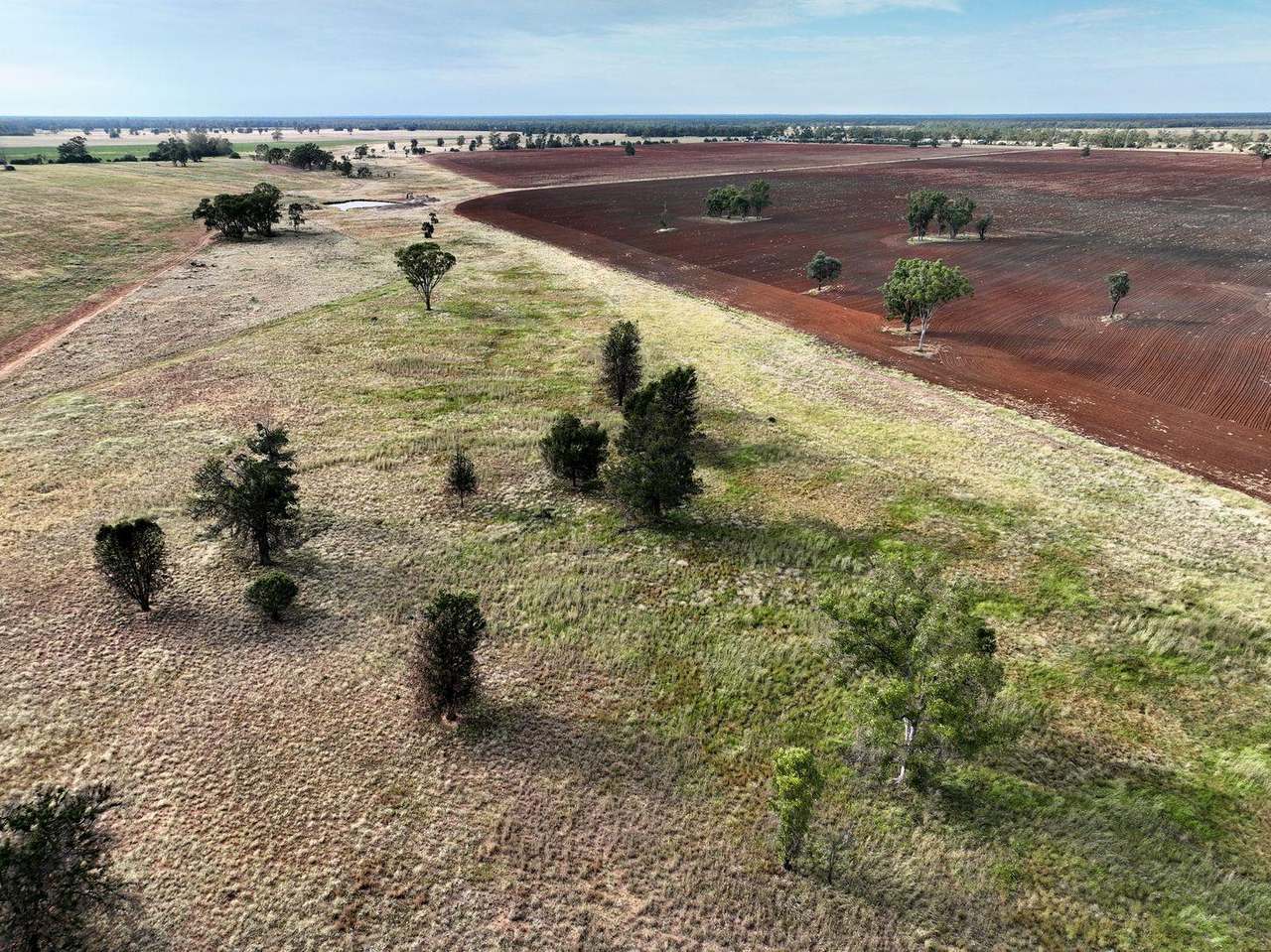 295 Hd Creek Road, Wee Waa For Sale by Farmbuy.com - image 7