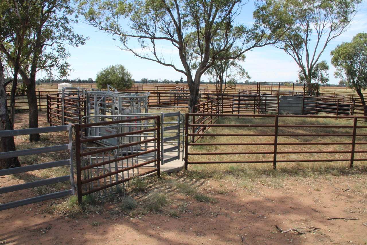 295 Hd Creek Road, Wee Waa For Sale by Farmbuy.com - image 28