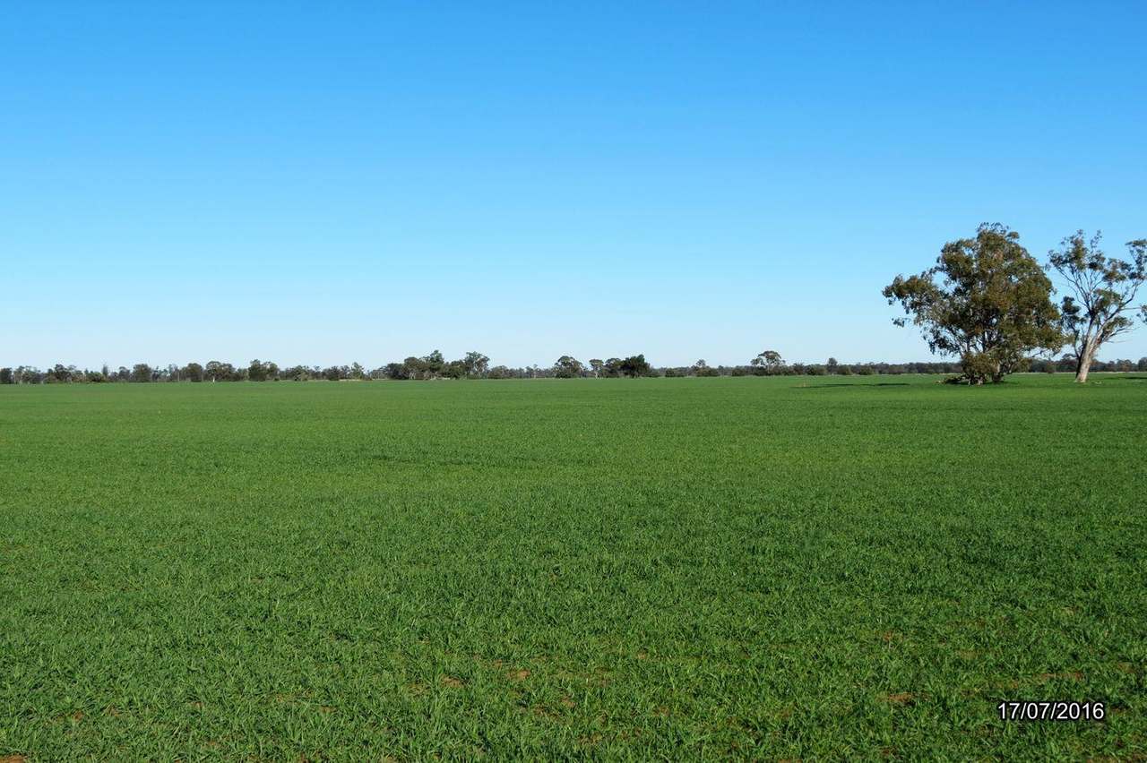 295 Hd Creek Road, Wee Waa For Sale by Farmbuy.com - image 8