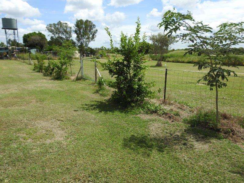 16976 Flinders Highway, Balfes Creek Sold by Farmbuy.com - image 8