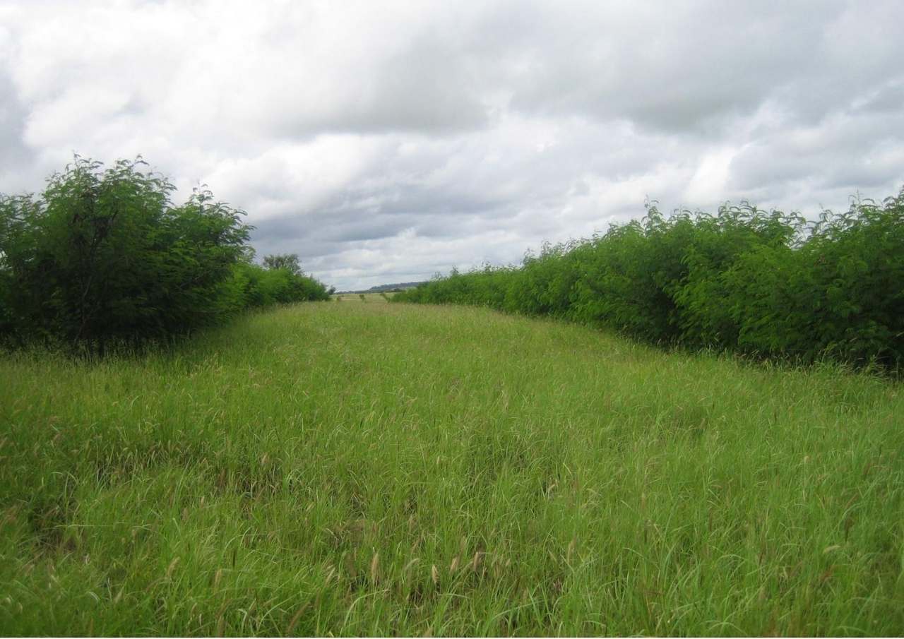 416 Nine Mile Road, Roma For Sale by Farmbuy.com - image 3