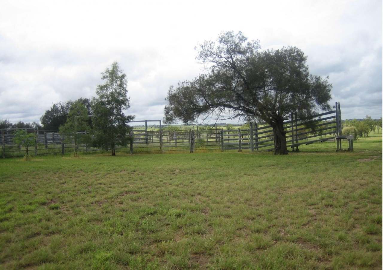 416 Nine Mile Road, Roma For Sale by Farmbuy.com - image 24