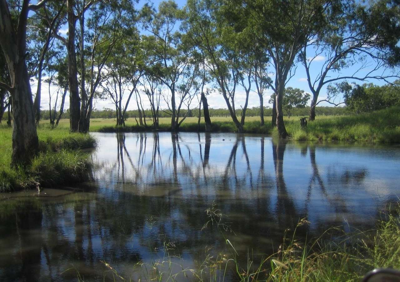 416 Nine Mile Road, Roma For Sale by Farmbuy.com - image 5