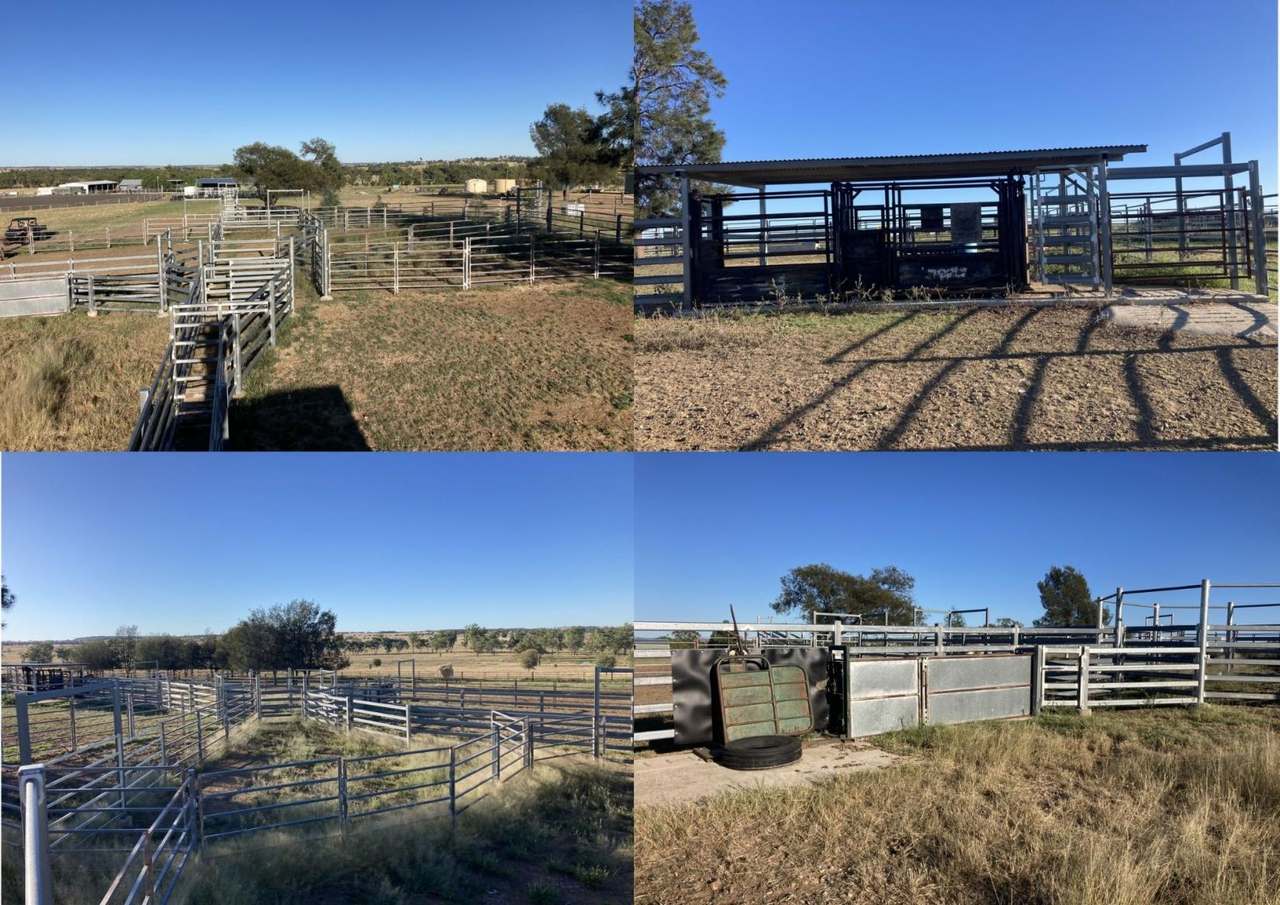 416 Nine Mile Road, Roma For Sale by Farmbuy.com - image 23
