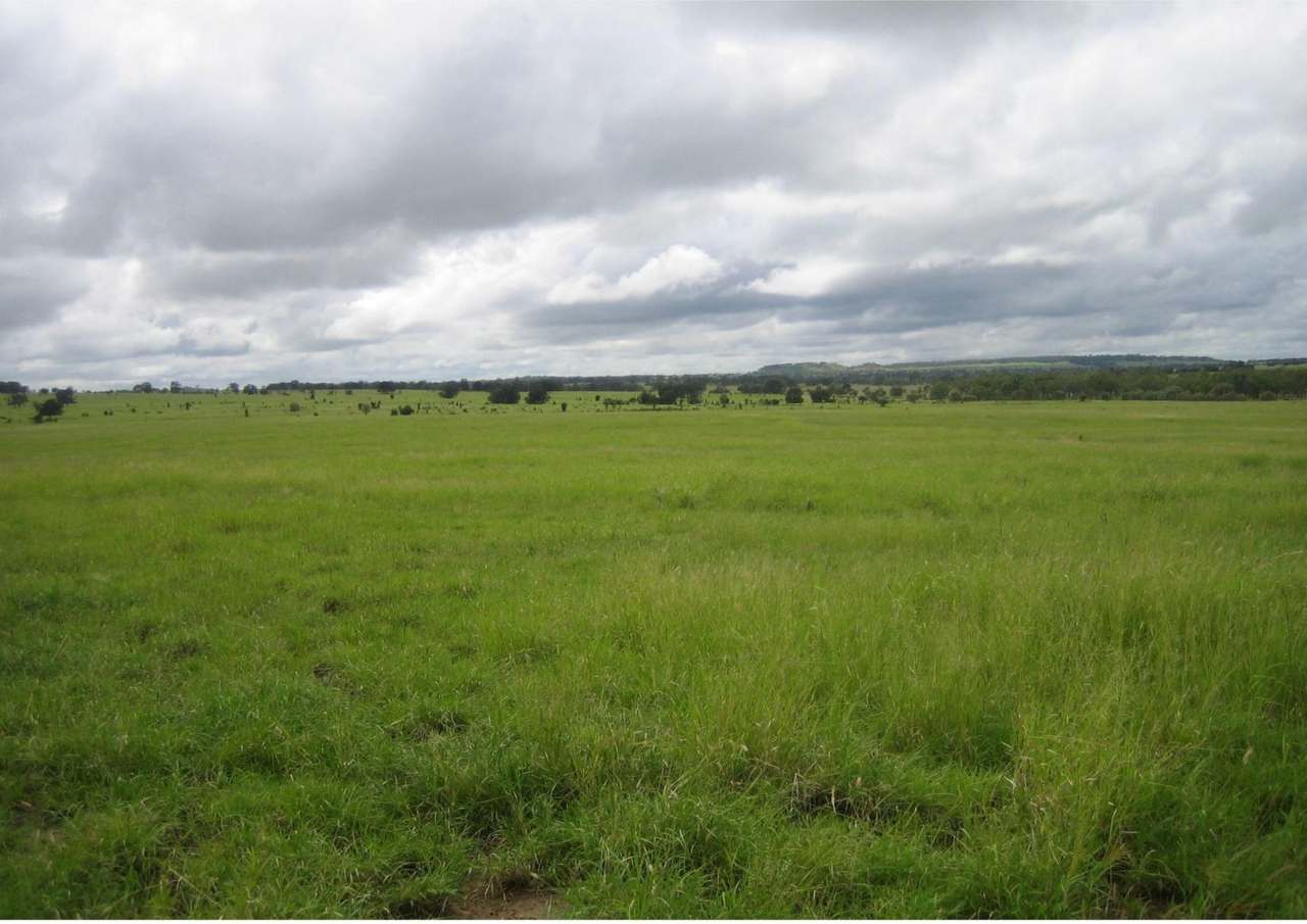 416 Nine Mile Road, Roma For Sale by Farmbuy.com - image 8