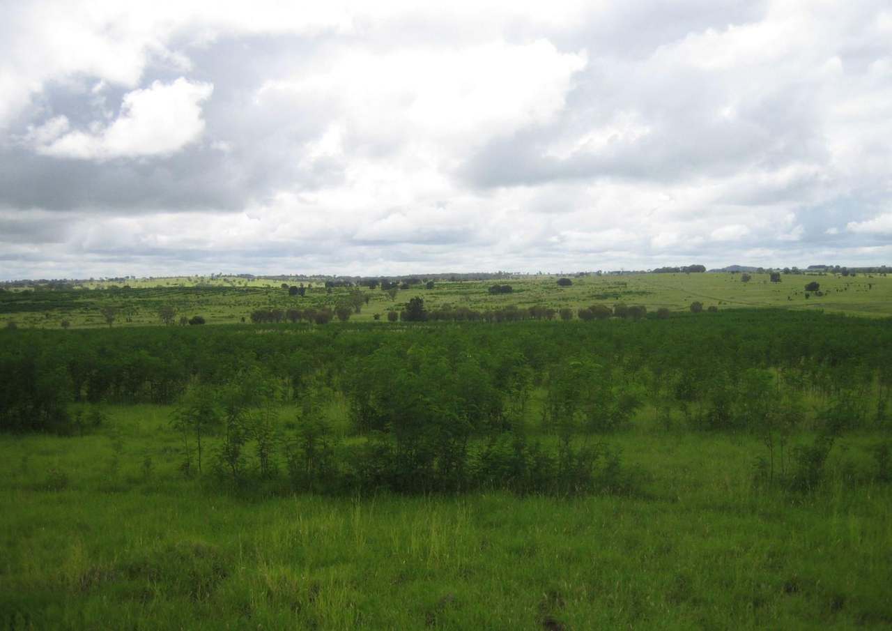 416 Nine Mile Road, Roma For Sale by Farmbuy.com - image 4
