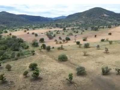 "Warrawong", Tooraweenah Auction by Farmbuy.com - image 4