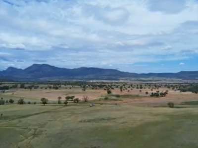 "Warrawong", Tooraweenah Auction by Farmbuy.com - image 3