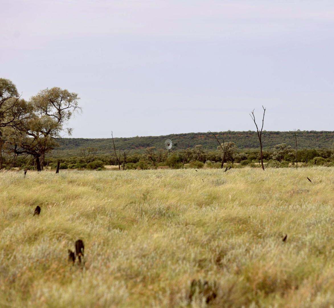 2308 Morella-Silsoe Rd, Longreach  Sold by Farmbuy.com - image 8