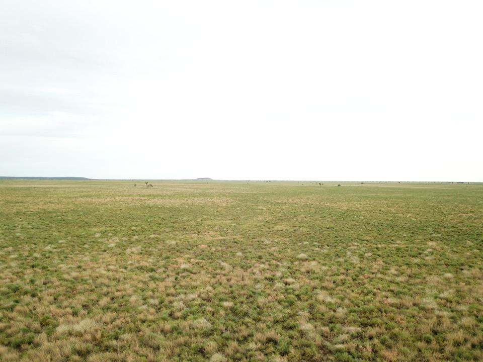 2308 Morella-Silsoe Rd, Longreach  Sold by Farmbuy.com - image 10