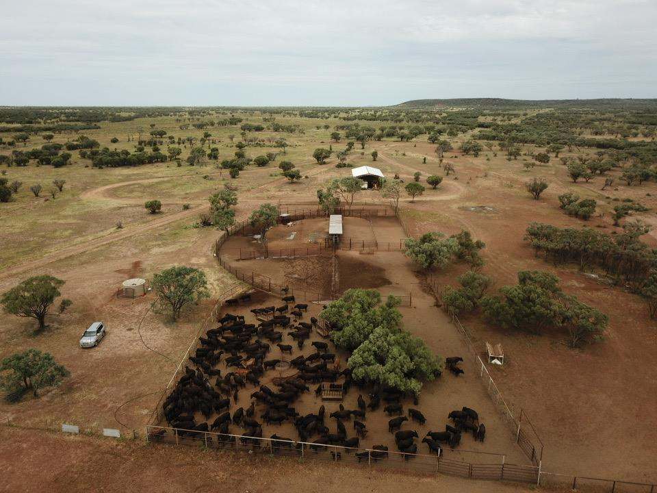 2308 Morella-Silsoe Rd, Longreach  Sold by Farmbuy.com - image 9
