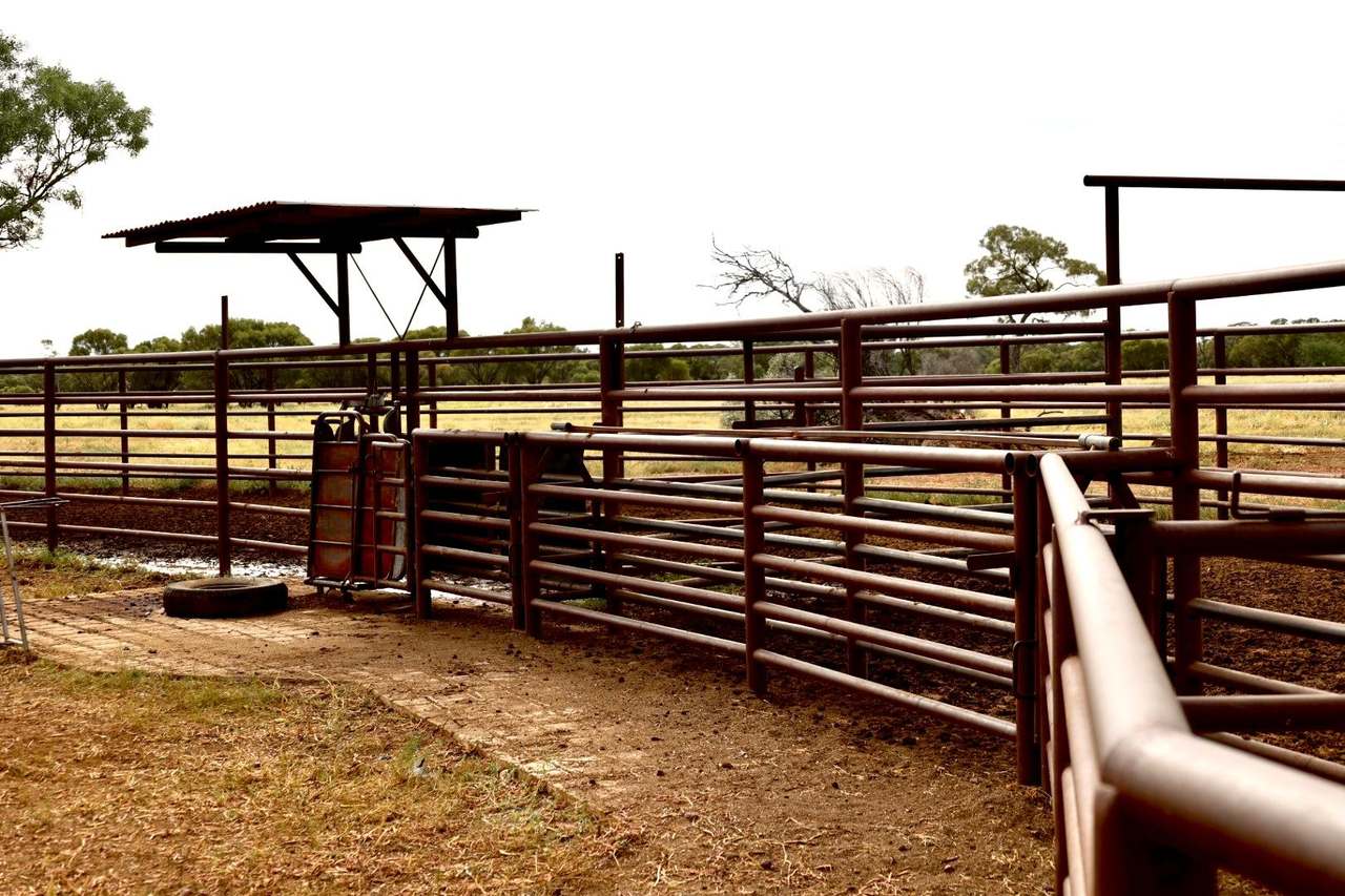 2308 Morella-Silsoe Rd, Longreach  Sold by Farmbuy.com - image 4