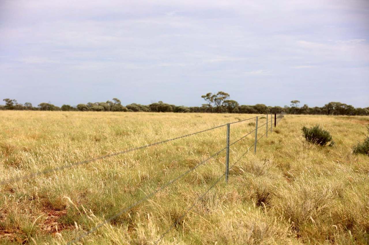 2308 Morella-Silsoe Rd, Longreach  Sold by Farmbuy.com - image 7