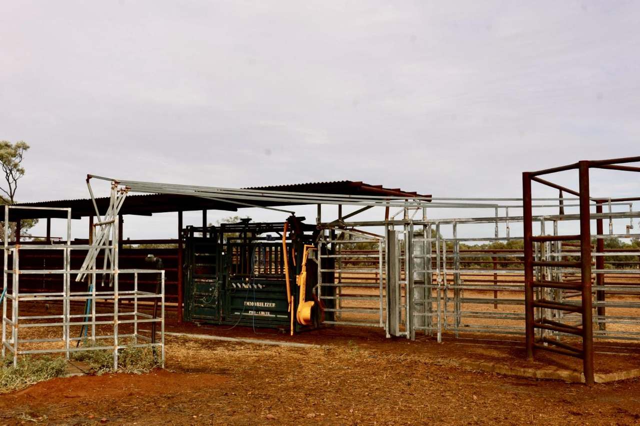 2308 Morella-Silsoe Rd, Longreach  Sold by Farmbuy.com - image 6