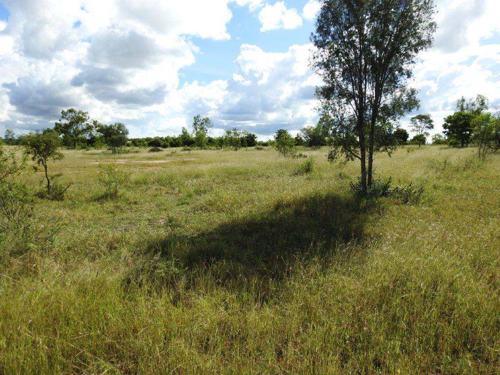 Read Road, Toll Sold by Farmbuy.com - image 5