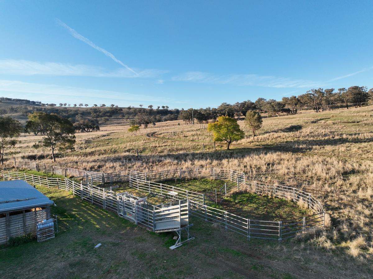 713 Swinging Ridges Road, Willow Tree For Sale by Farmbuy.com - image 25