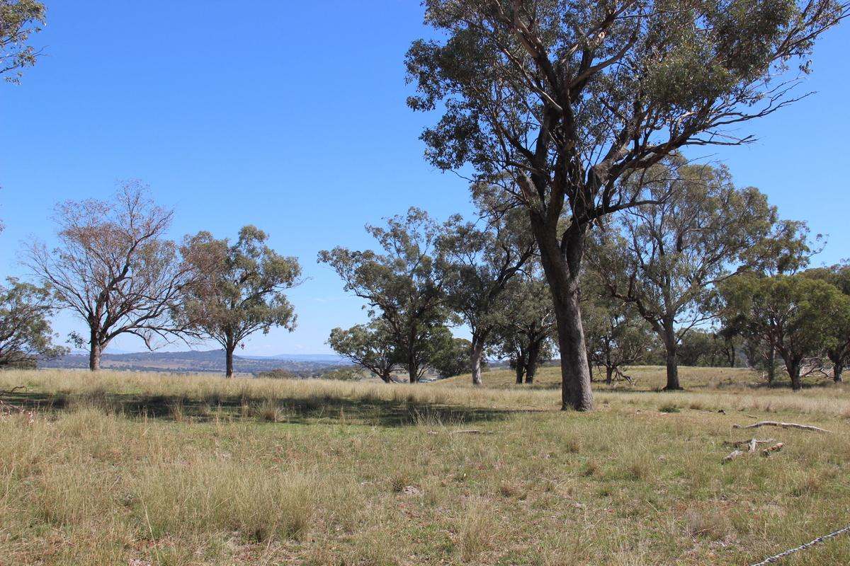 713 Swinging Ridges Road, Willow Tree For Sale by Farmbuy.com - image 10