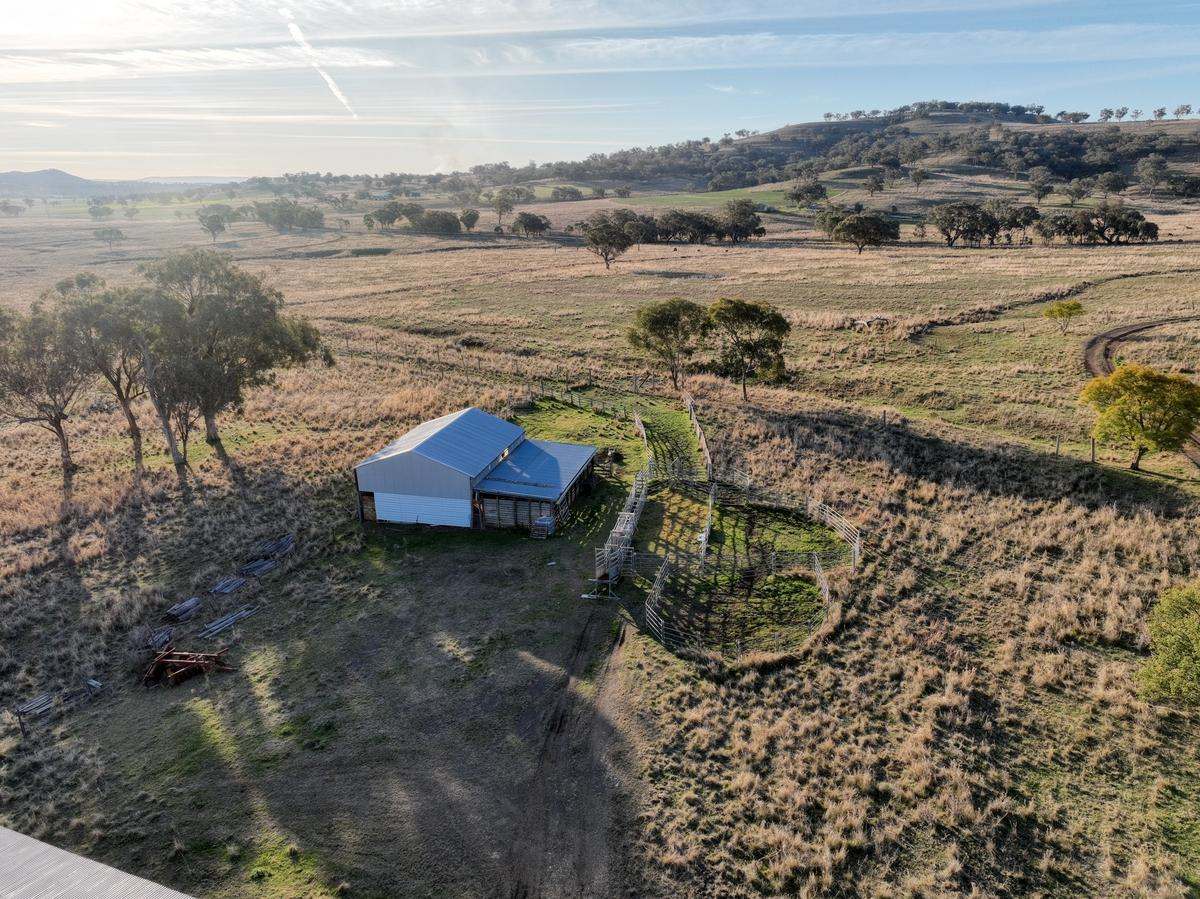 713 Swinging Ridges Road, Willow Tree For Sale by Farmbuy.com - image 33