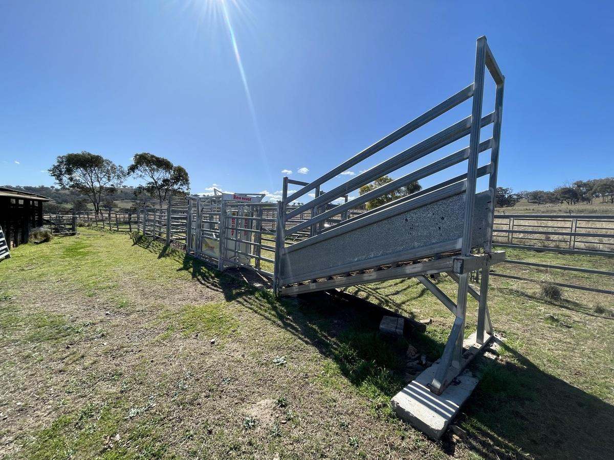 713 Swinging Ridges Road, Willow Tree For Sale by Farmbuy.com - image 28