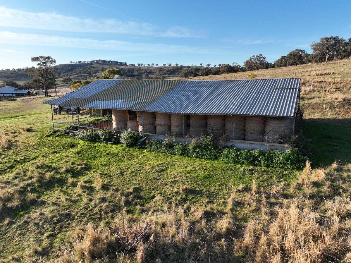 713 Swinging Ridges Road, Willow Tree For Sale by Farmbuy.com - image 34