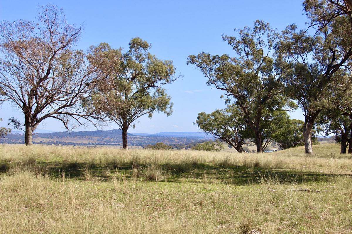 713 Swinging Ridges Road, Willow Tree For Sale by Farmbuy.com - image 8